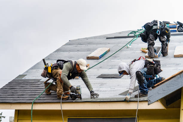 Professional Roof Replacement technician working in Dobbin, TX